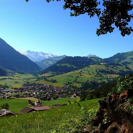 Sonnegg Hotel Zweisimmen Exterior photo