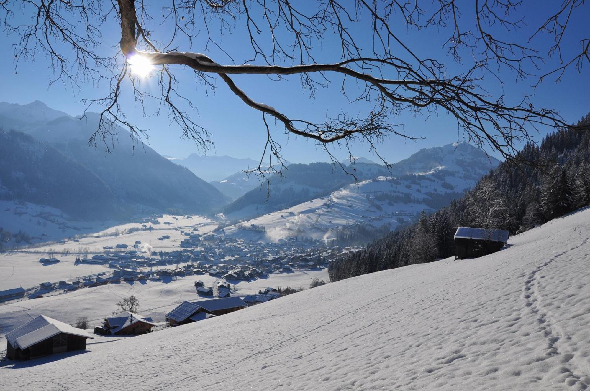 Sonnegg Hotel Zweisimmen Exterior photo